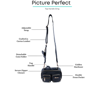 Picture Perfect
